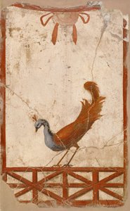 Wall Fragment with a Peacock